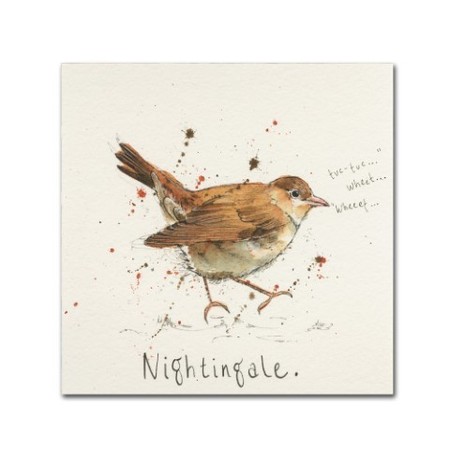 Michelle Campbell 'Nightingale' Canvas Art,24x24